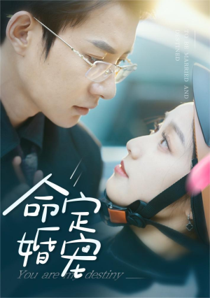 命定婚宠(61集) 命定婚宠(61集)好看到停不下来