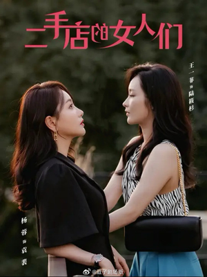 二手店的女人们(66集) 二手店的女人们(66集)免费全集短剧