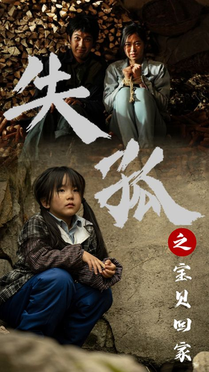 失孤之宝贝回家(71集) 失孤之宝贝回家(71集)短剧在线观看