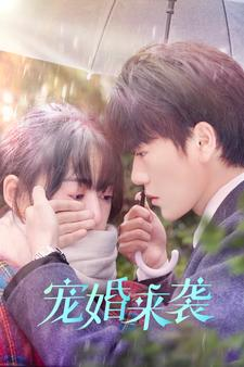 宠婚来袭(102集) 宠婚来袭(102集)一起追短剧