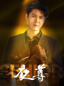 夜尊(95集) 夜尊(95集)大结局