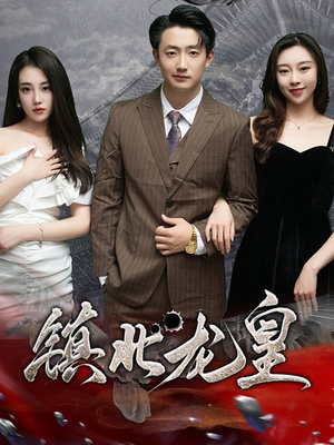 镇北龙帅(97集) 镇北龙帅(97集)免费观看完整版