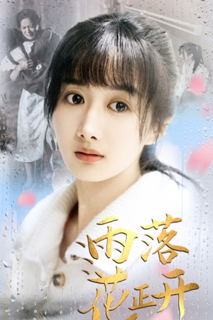 雨落花正开(62集) 雨落花正开(62集)爱上了这部剧了