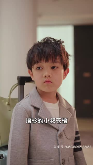 双宝来袭,总裁爹地追妻忙(100集) 双宝来袭,总裁爹地追妻忙(100集)集免费看短剧