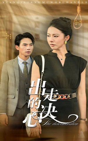 出走的决心(29集) 出走的决心(29集)在线看免费版
