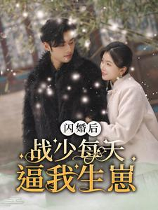 闪婚后战少每天逼我生崽(91集) 闪婚后战少每天逼我生崽(91集)免费看全集