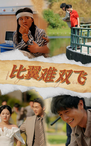 比翼难双飞(30集) 比翼难双飞(30集)最新热门短剧