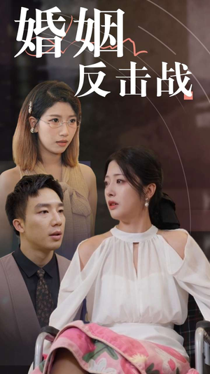 婚姻反击战(40集) 婚姻反击战(40集)经典老剧免费看