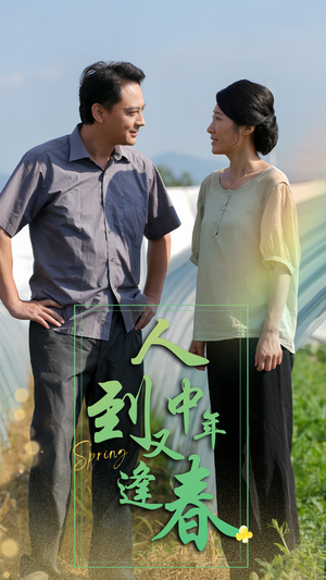 人到中年又逢春(61集) 人到中年又逢春(61集)排行榜前十短剧