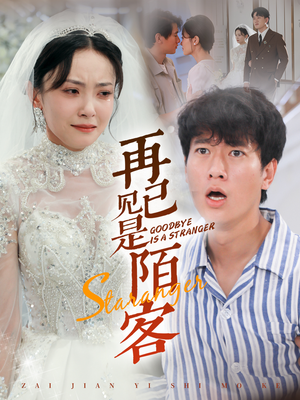 再见已是陌客(55集) 再见已是陌客(55集)完整版免费观看