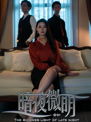暗夜微明(70集) 暗夜微明(70集)流畅播放免费看