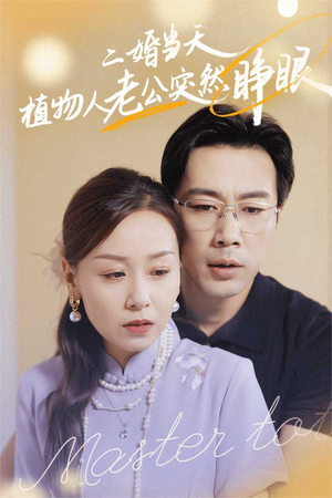 二婚当天植物人老公突然睁眼(40集) 二婚当天植物人老公突然睁眼(40集)短剧全集完整版