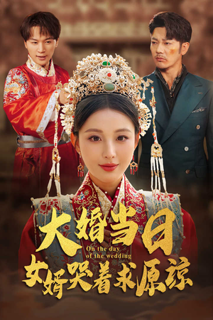 大婚当日,女婿哭着求原谅(31集) 大婚当日,女婿哭着求原谅(31集)免费观看完整版
