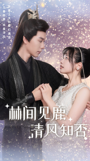 林间见鹿清风知否(62集) 林间见鹿清风知否(62集)夸克网盘在线看