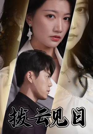 拨云见日(30集) 拨云见日(30集)精彩短剧来了