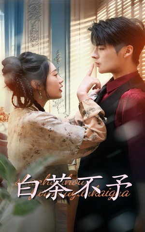 白茶不予(68集) 白茶不予(68集)短剧在线观看