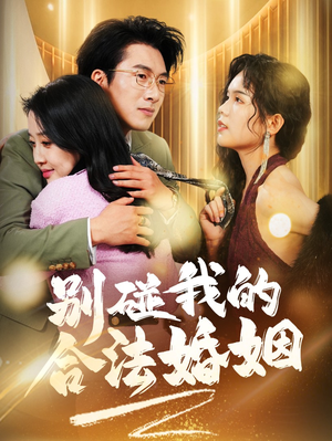 别碰我的合法婚姻(30集) 别碰我的合法婚姻(30集)短剧在线观看