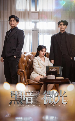 黑暗微光(66集) 黑暗微光(66集)高分佳作免费看