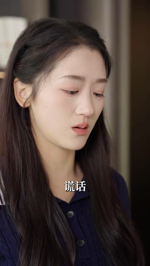 爱似流星坠落(30集) 爱似流星坠落(30集)在线看