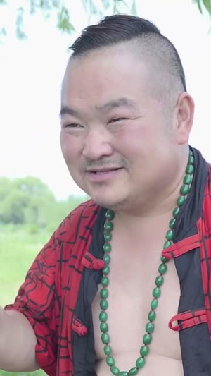 御车侠影（89集）精彩短剧合集