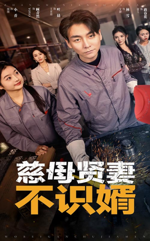 慈母贤妻不识婿(45集) 慈母贤妻不识婿(45集)短剧免费观看