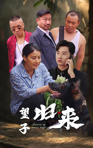 望子归来(50集) 望子归来(50集)古装短剧热播