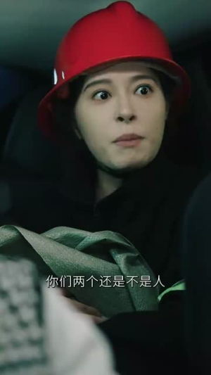 火线救援(30集) 火线救援(30集)免费短剧资源