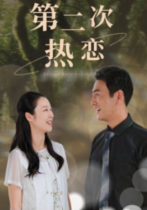 第二次热恋(48集) 第二次热恋(48集)短剧上热门