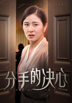 分手的决心(39集) 分手的决心(39集)真的太精彩了