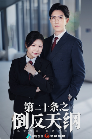 第二十条之倒反天纲(60集) 第二十条之倒反天纲(60集)在线观看
