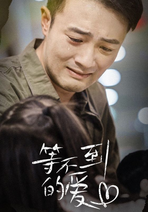 等不到的爱(40集) 等不到的爱(40集)短剧全集更精彩