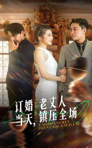 订婚当天,老丈人镇压全场(29集) 订婚当天,老丈人镇压全场(29集)完整版