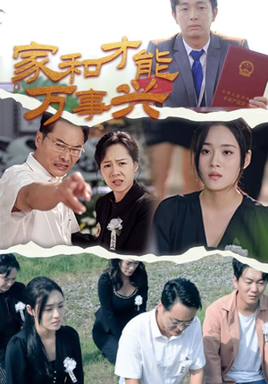 家和才能万事兴(30集) 家和才能万事兴(30集)短剧全集完整版