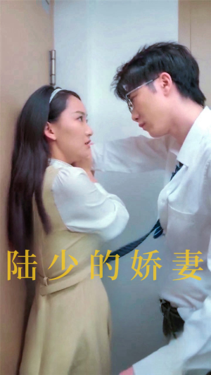 陆少的娇妻(100集) 陆少的娇妻(100集)免费观看全集