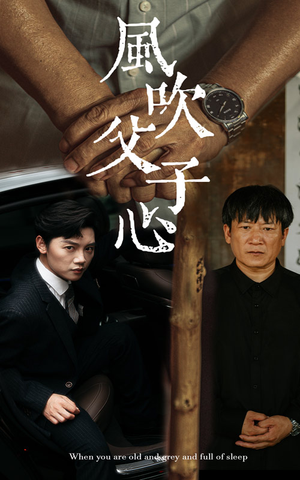 风吹父子心(65集) 风吹父子心(65集)更新时间