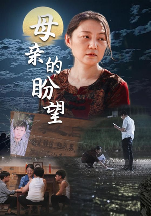 母亲的盼望(29集) 母亲的盼望(29集)全集