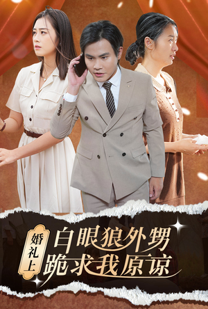 婚礼上白眼狼外甥跪求我原谅(35集) 婚礼上白眼狼外甥跪求我原谅(35集)无需会员免费看