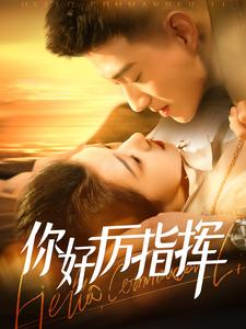 你好厉指挥(100集) 你好厉指挥(100集)海量短剧免费看