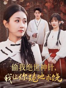偷我绝世神针,我让你跪地求饶(30集) 偷我绝世神针,我让你跪地求饶(30集)在线看免费版