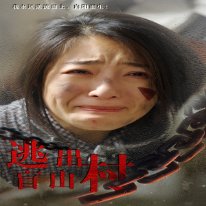 逃出盲山村(48集) 逃出盲山村(48集)全集在线看