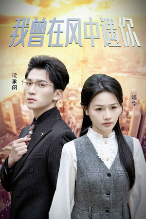 我曾在风中遇你(30集) 我曾在风中遇你(30集)短剧推荐分享