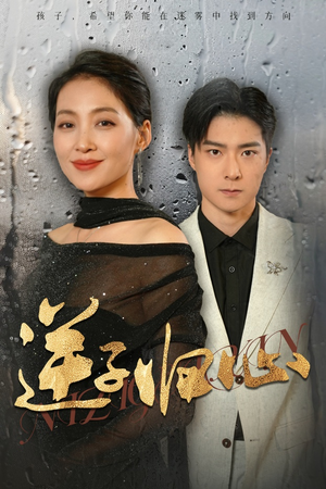 逆子归心(31集) 逆子归心(31集)全集一网打尽