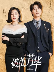 破茧芳华(80集) 破茧芳华(80集)免费版