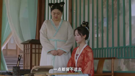 俏红娘(24集) 俏红娘(24集)更新时间