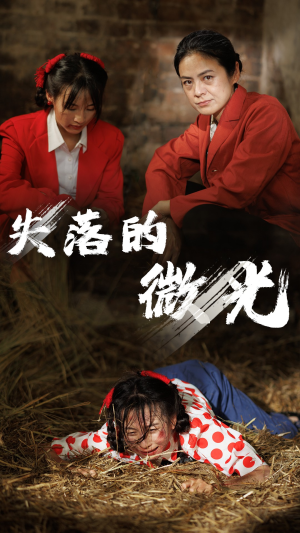 失落的微光(60集) 失落的微光(60集)番茄短剧看全集