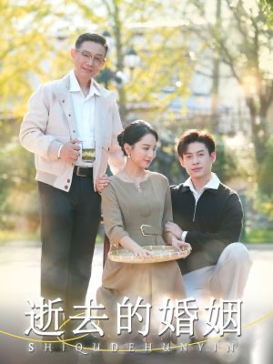 逝去的婚姻(60集) 逝去的婚姻(60集)高分推荐免费看