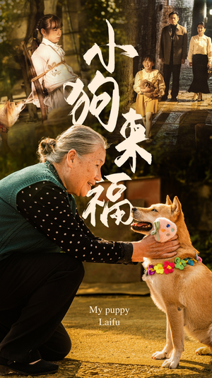 小狗来福(30集) 小狗来福(30集)超好看的短剧