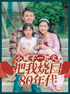 小舅子一把火把我烧回80年代(100集) 小舅子一把火把我烧回80年代(100集)短剧上头又好看
