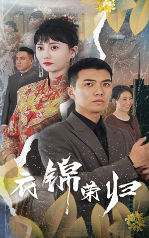 衣锦荣归(81集) 衣锦荣归(81集)短剧视频分享