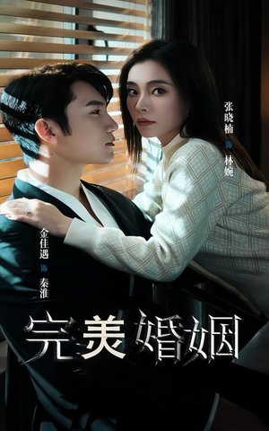 完美婚姻(65集) 完美婚姻(65集)免费看全集